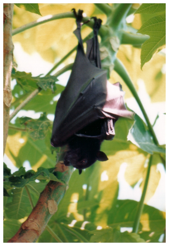 04 - Queensland (61).jpg